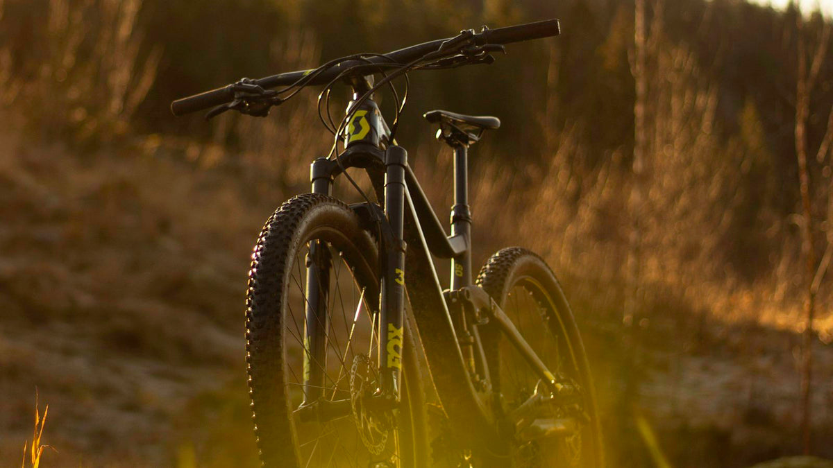 Mountain bike parked on grass outdoors
