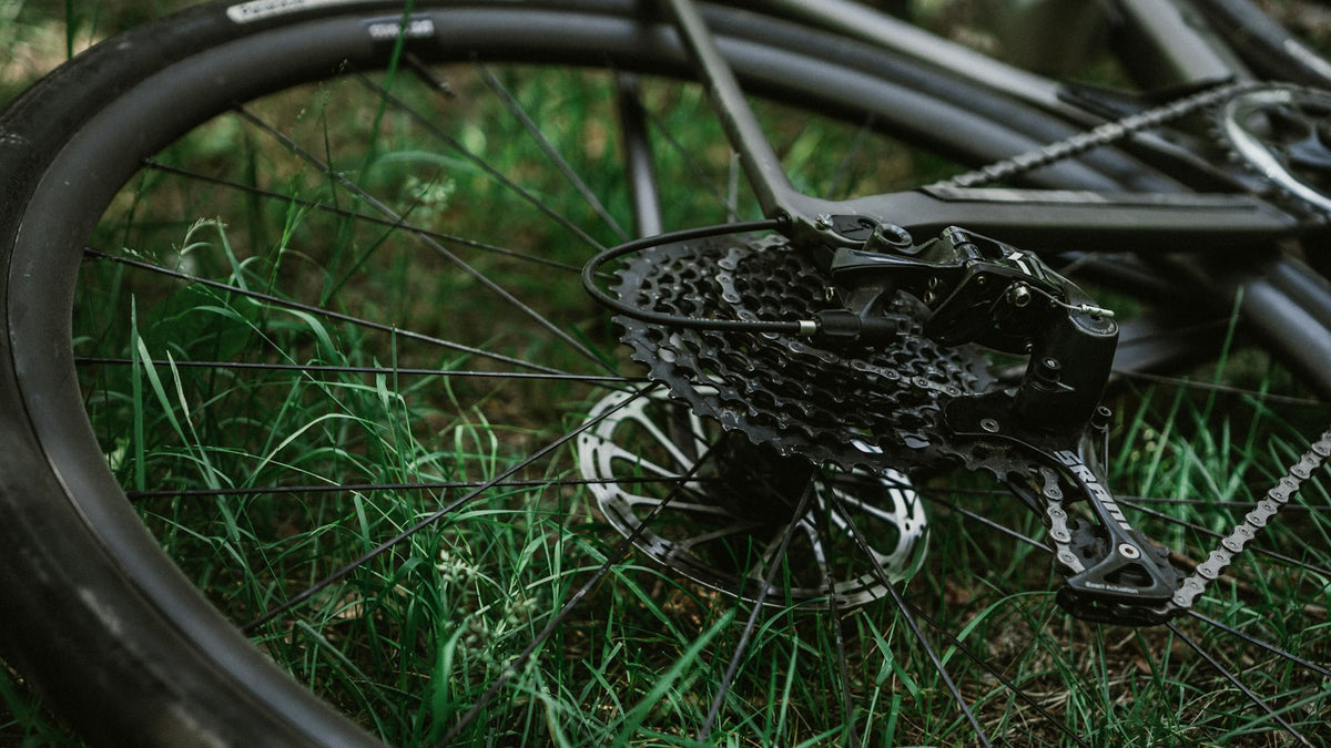 Bicycle wheel resting on green grass