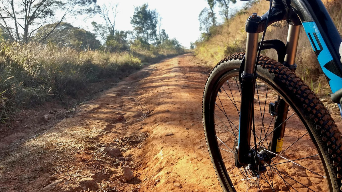 Mountain bike standing on a dirt trail